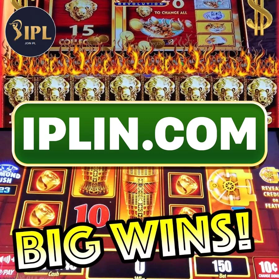 Dragon Tiger Casino Game